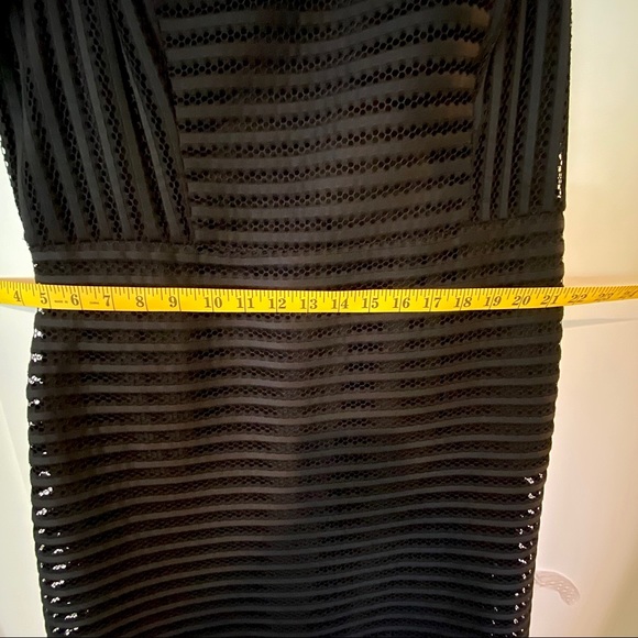 DRESS The Limited. Sheer stripe overlay - Picture 4 of 4